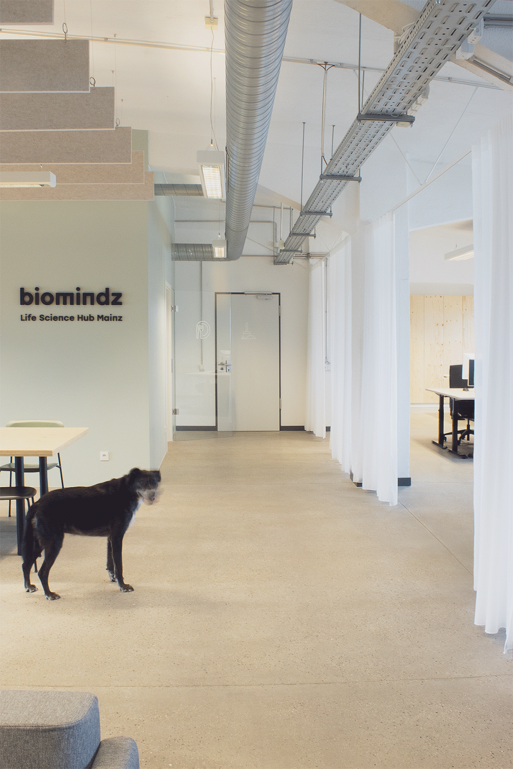 Biomindz &mdash; FORMAAT