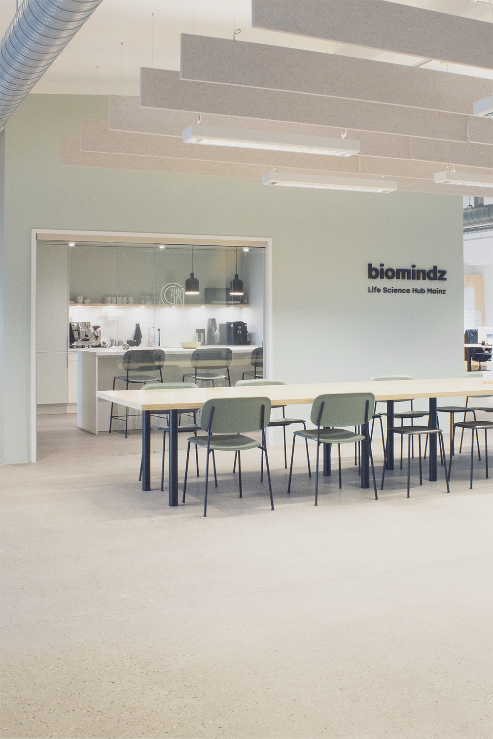 Biomindz &mdash; FORMAAT